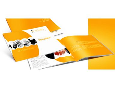 Thiết kế Hồ sơ năng lực