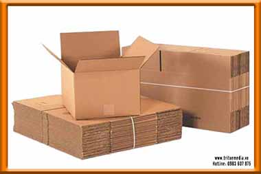 Các loại vỏ hộp bằng giấy thông dụng