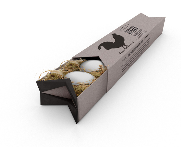 thiết kế vỏ hộp sản phẩm, bao bì đựng sản phẩm