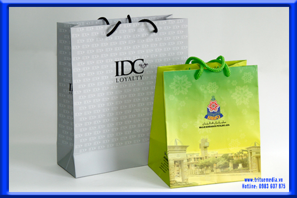 túi giấy, túi, giấy, túi xách, bằng giấy, túi giá rẻ, túi đẹp, in túi giấy đẹp, in túi nhanh