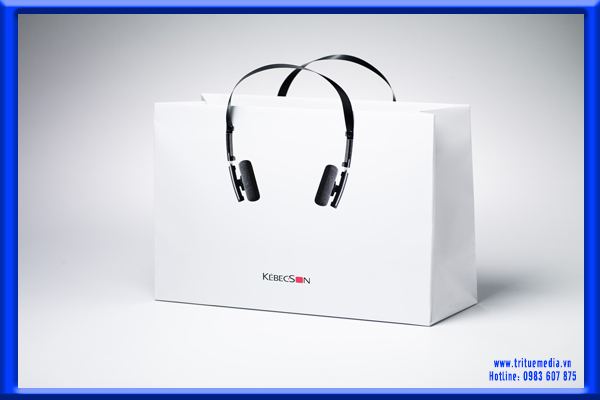 túi giấy, túi, giấy, túi xách, bằng giấy, túi giá rẻ, túi đẹp, in túi giấy đẹp, in túi nhanh