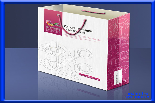 túi giấy, túi, giấy, túi xách, bằng giấy, túi giá rẻ, túi đẹp, in túi giấy đẹp, in túi nhanh