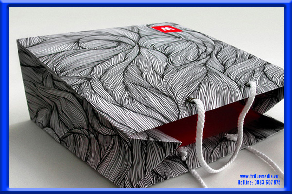 túi giấy, túi, giấy, túi xách, bằng giấy, túi giá rẻ, túi đẹp, in túi giấy đẹp, in túi nhanh